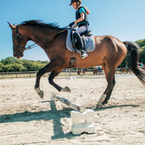 Crea & Ponystage 'De paardenfluisteraars' in Pulderbos