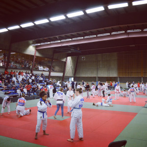 Zwemmen & judostage