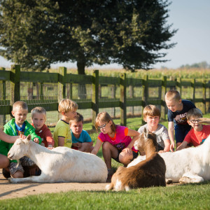 Kleutersportstage 'Op de boerderij'