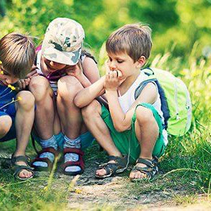 Ecostage 'Op ontdekking in de natuur' in Grobbendonk