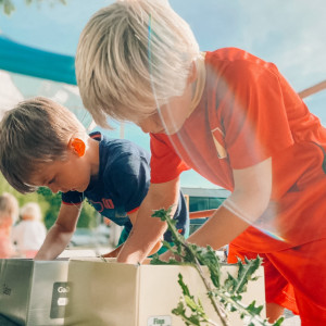 Speel - & ravotstage voor kleuters 'Zomerkriebels' in Brasschaat