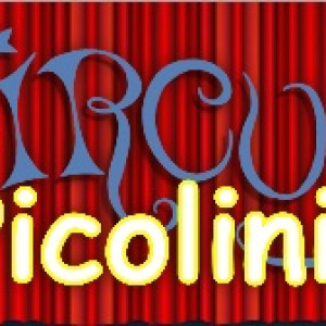 Circus Picolini in Westmalle