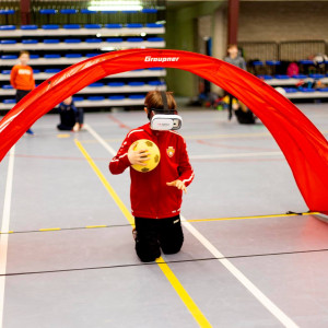 Dronestage in Brasschaat